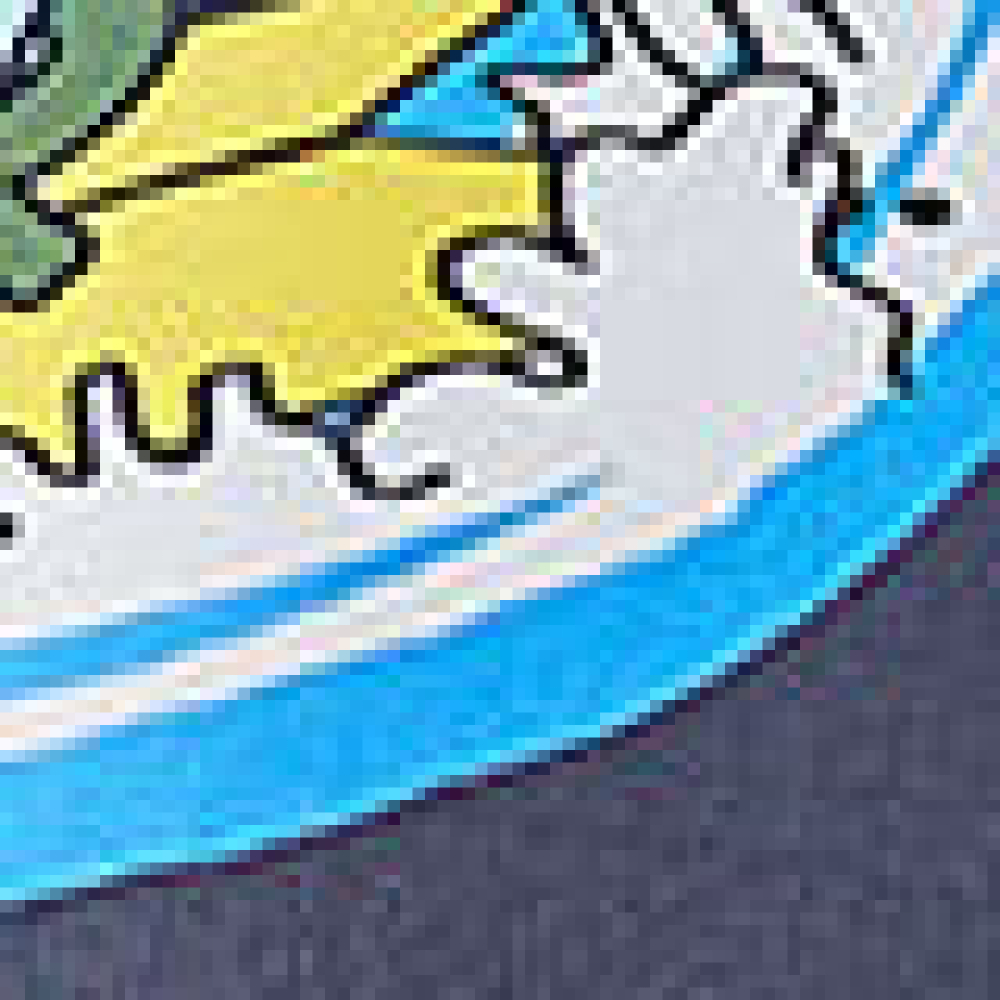 Bermuda Rio Mad Surf