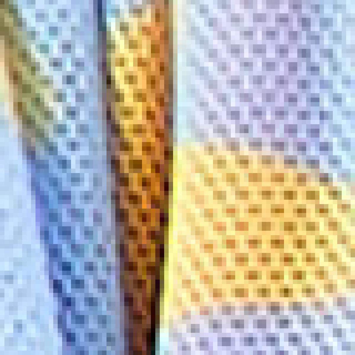 Saia Tule Mix Estrelitas Saia Tule Mix Estrelitas