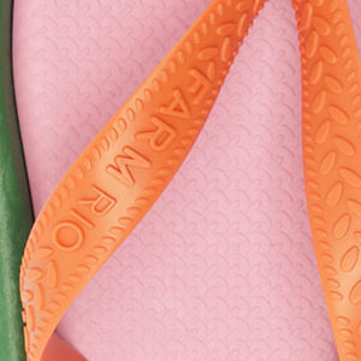 Chinelo Fresh Colorê