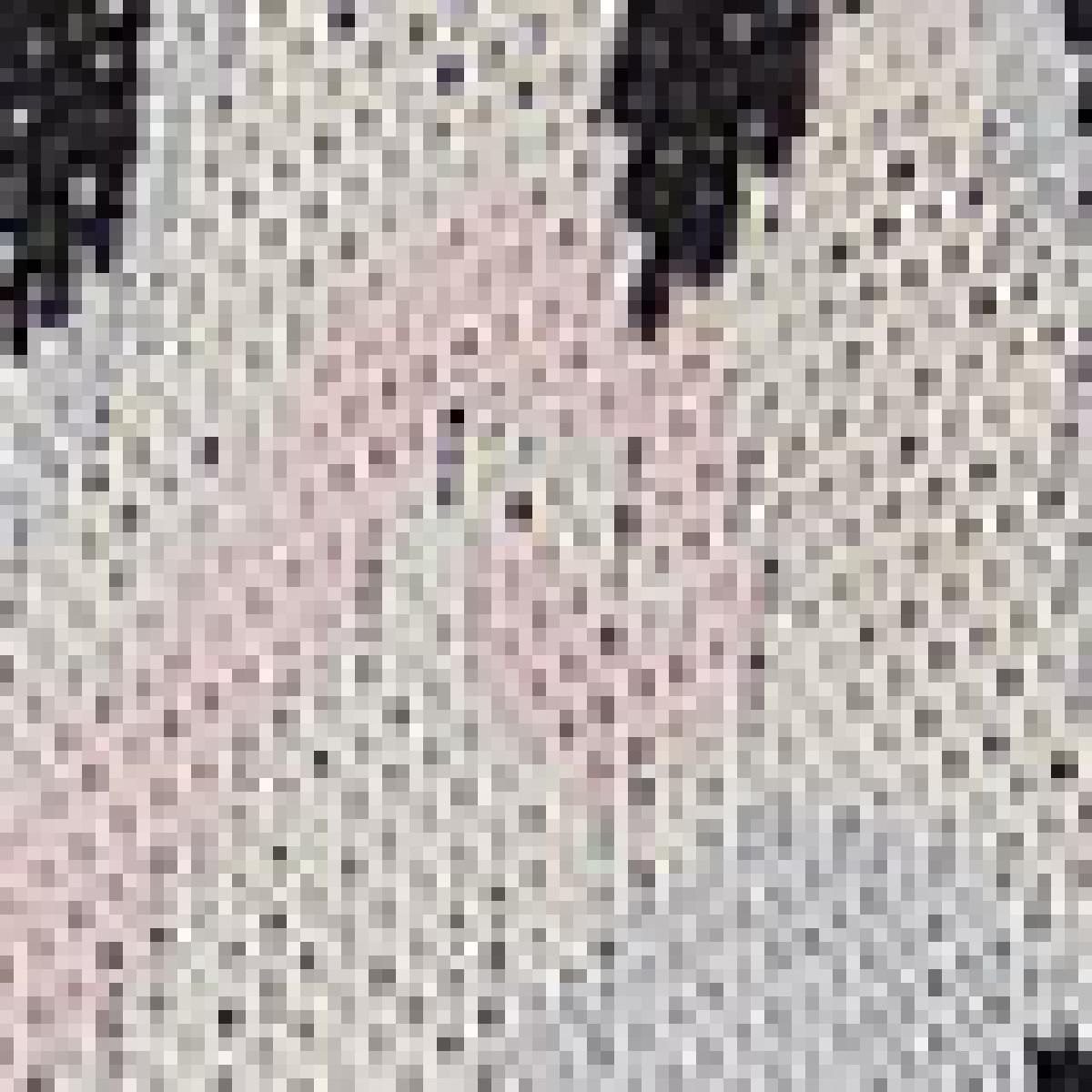 Cardigan De Tricot Cropped Jacquard Ikat
