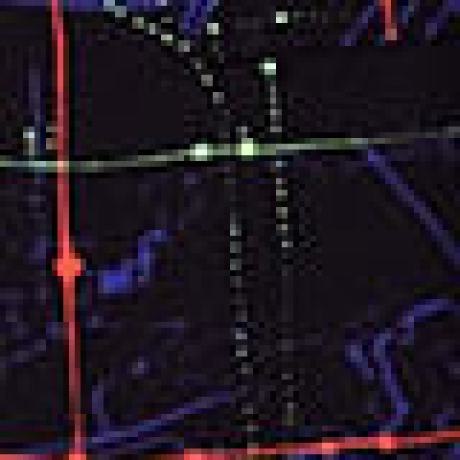 Calca Esportiva Textura Laser Preta